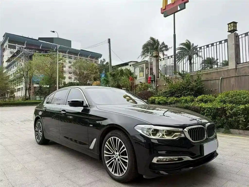 BMW 5 Series 2018 Facelift 530Li Exclusive Luxury Package фото 9