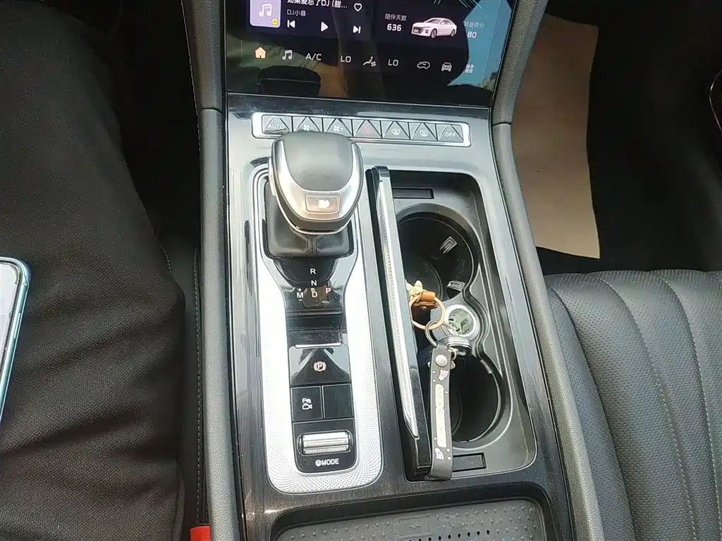 Hongqi H5 2024 2.0T Automatic Smart Connect Flag Smooth Edition фото 10
