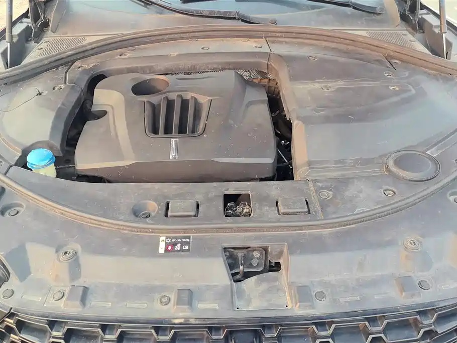 WEI PAI WEI BRAND VV7