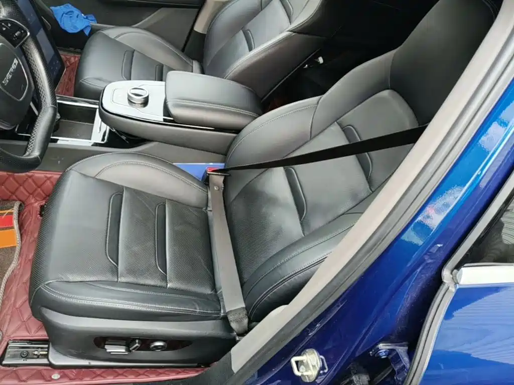 SERES SF5 2021 2020 AWD High Performance Sport Edition