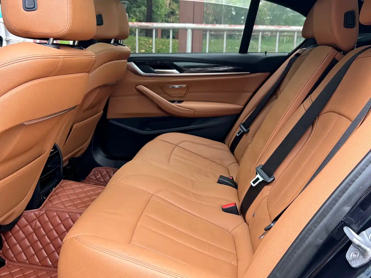 BMW 5 Series 2019 530Li xDrive M Sport Package фото 8