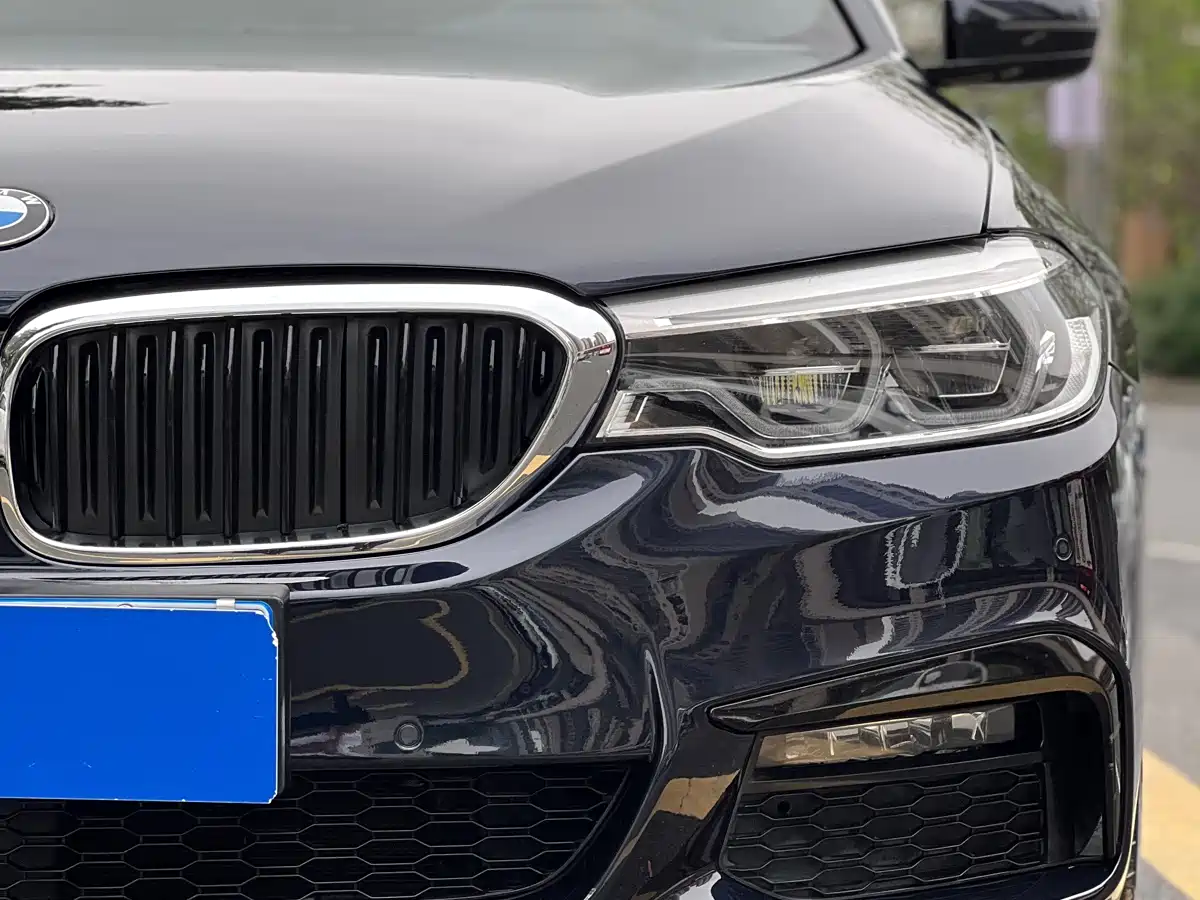 BMW 5 Series 2019 530Li xDrive M Sport Package фото 17