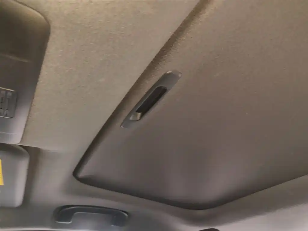 Toyota Levin 2019 Hybrid 1.8H E-CVT Luxury Edition China VI фото 18