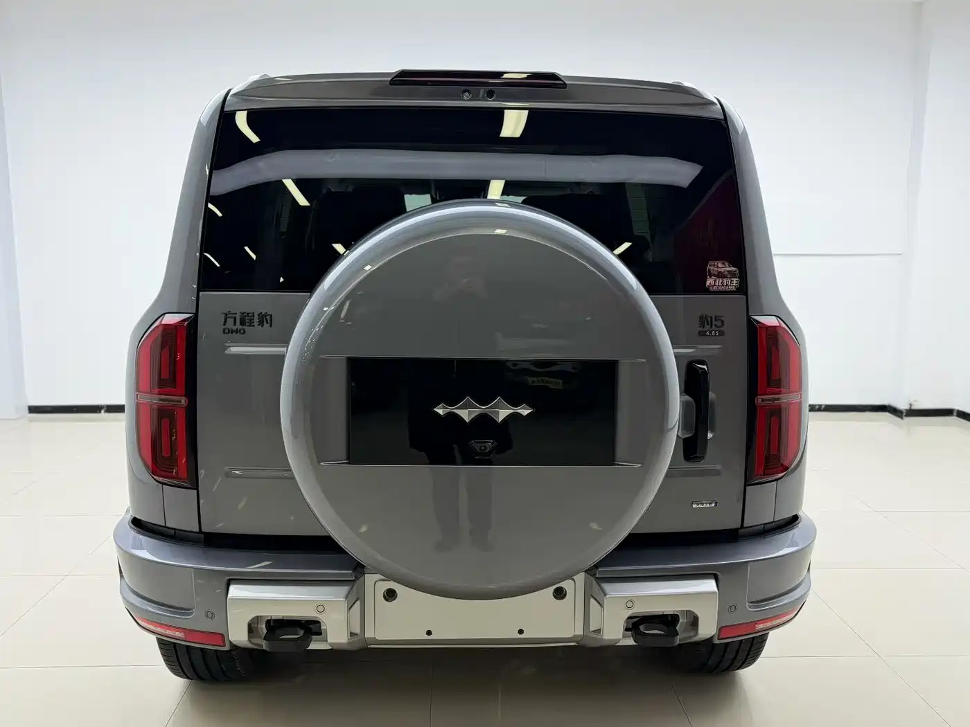 FANG CHENG BAO LEOPARD 5