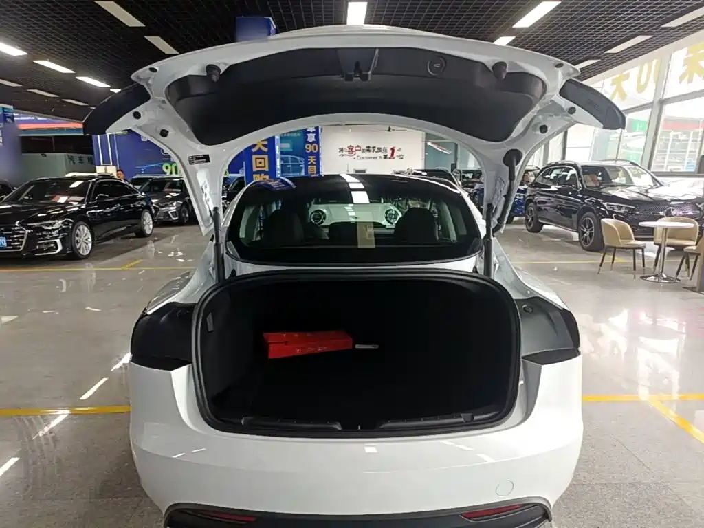 Фото 19 - Tesla Model 3