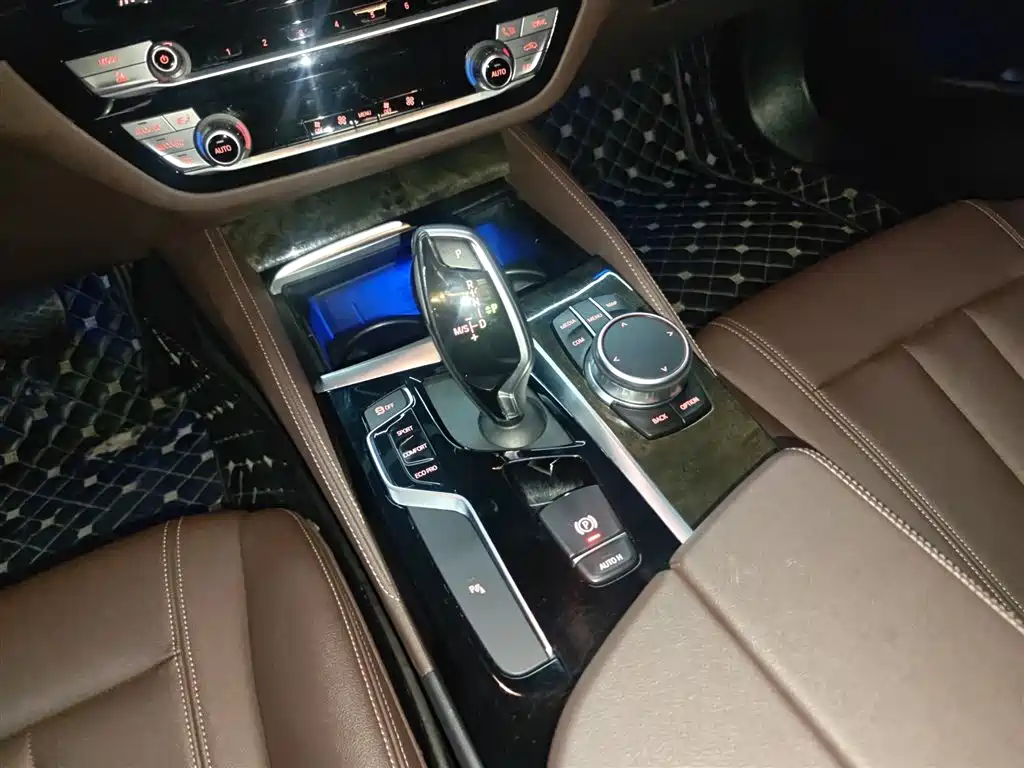 BMW 5 Series 2020 525Li M Sport Package фото 10