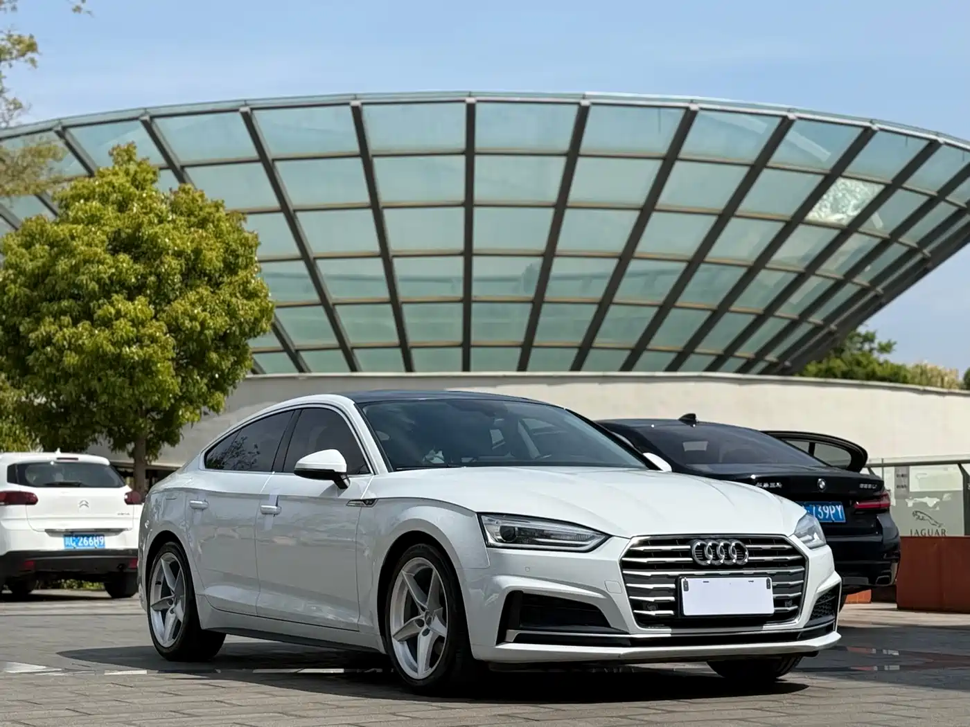 Audi A5 (Import) 2017 Sportback 40 TFSI Fashion фото 3