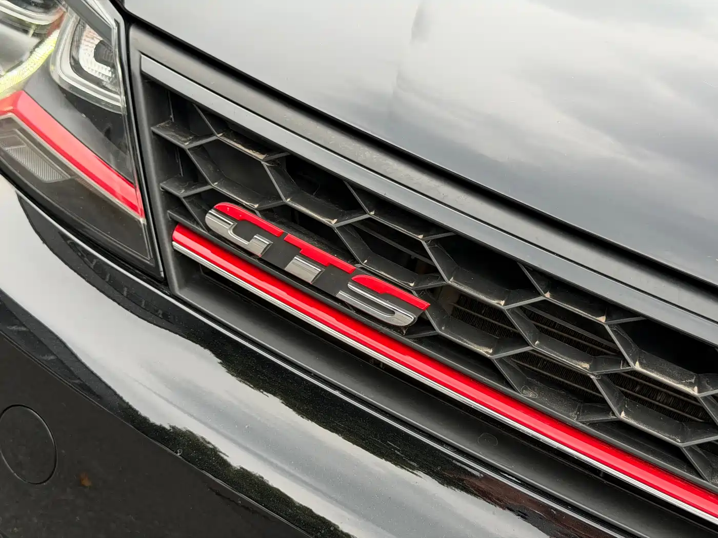 Volkswagen Lamando 2017 2.0T GTS фото 10