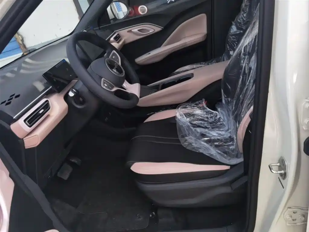 BYD Seagull 2025 Smart Drive Edition 305km Vitality Version фото 15
