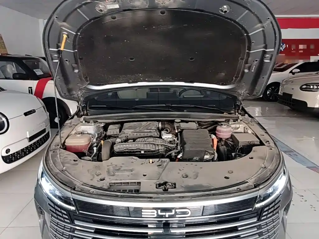 BYD Destroyer 05 2025 2024 Glory Edition DM-i 55KM Luxury