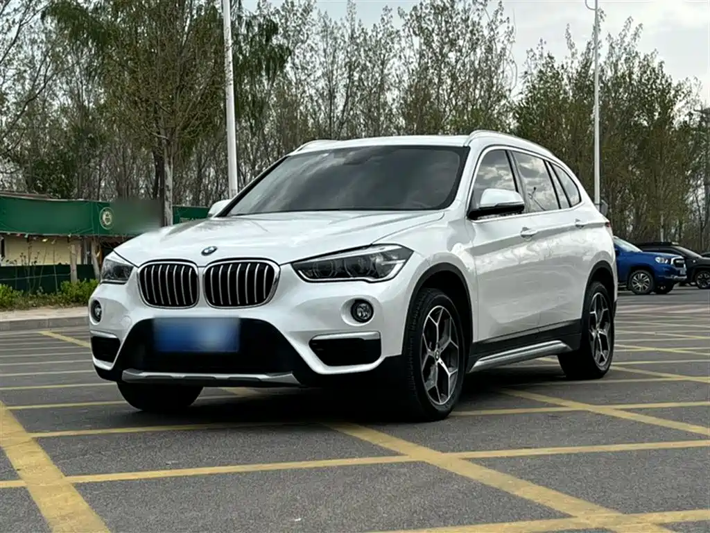 BMW X1 2019 xDrive20Li Premium Model фото 2