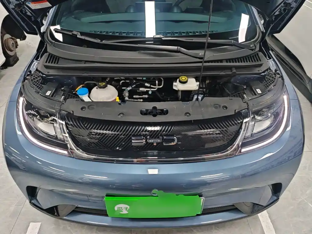 Фото 20 - BYD Dolphin