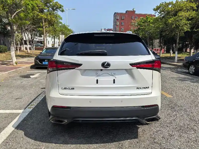 Lexus NX 2018 Model 300 FWD Fengxing Edition фото 8