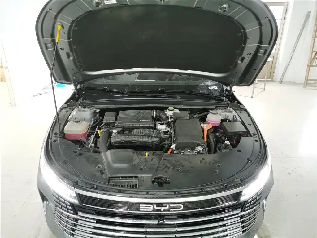 BYD Destroyer 05 2024 Glory Edition DM-i 55KM Luxury фото 16