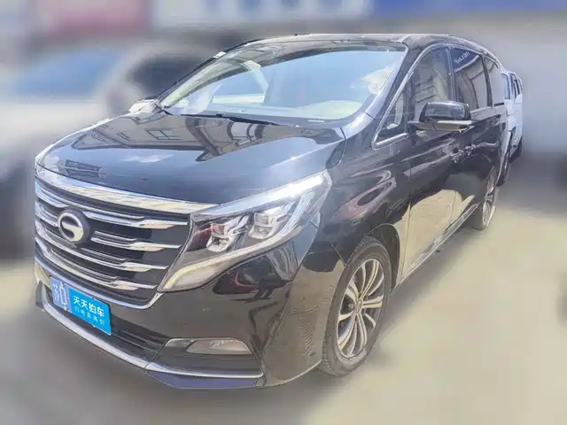 GAC Trumpchi Trumpchi M8 2018 320T Premium Edition — фото 1