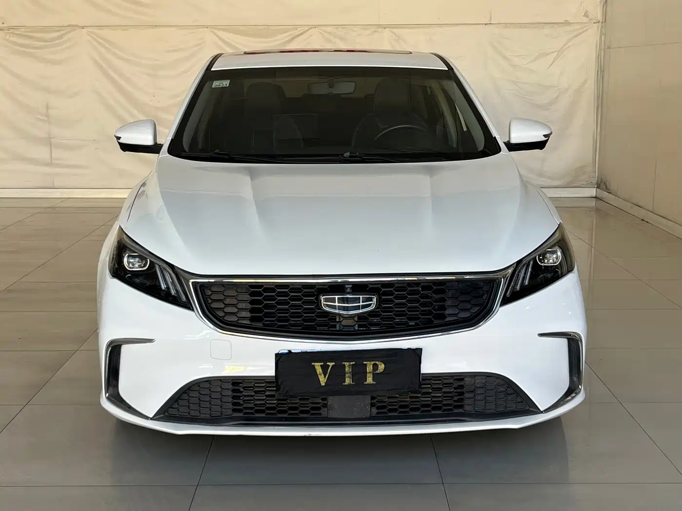 Фото 2 - Geely Binrui