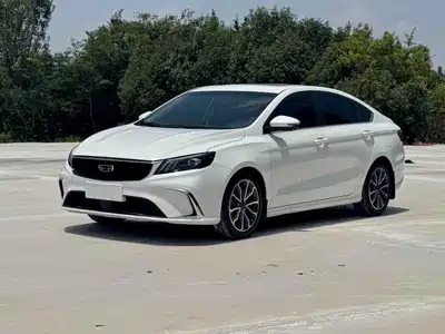 Geely Binrui