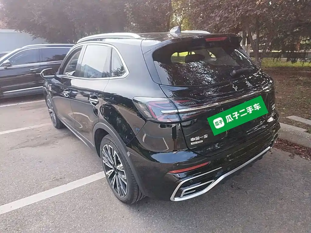 Hongqi HS5 2025 2025 2.0T 4WD Qixiang Pro
