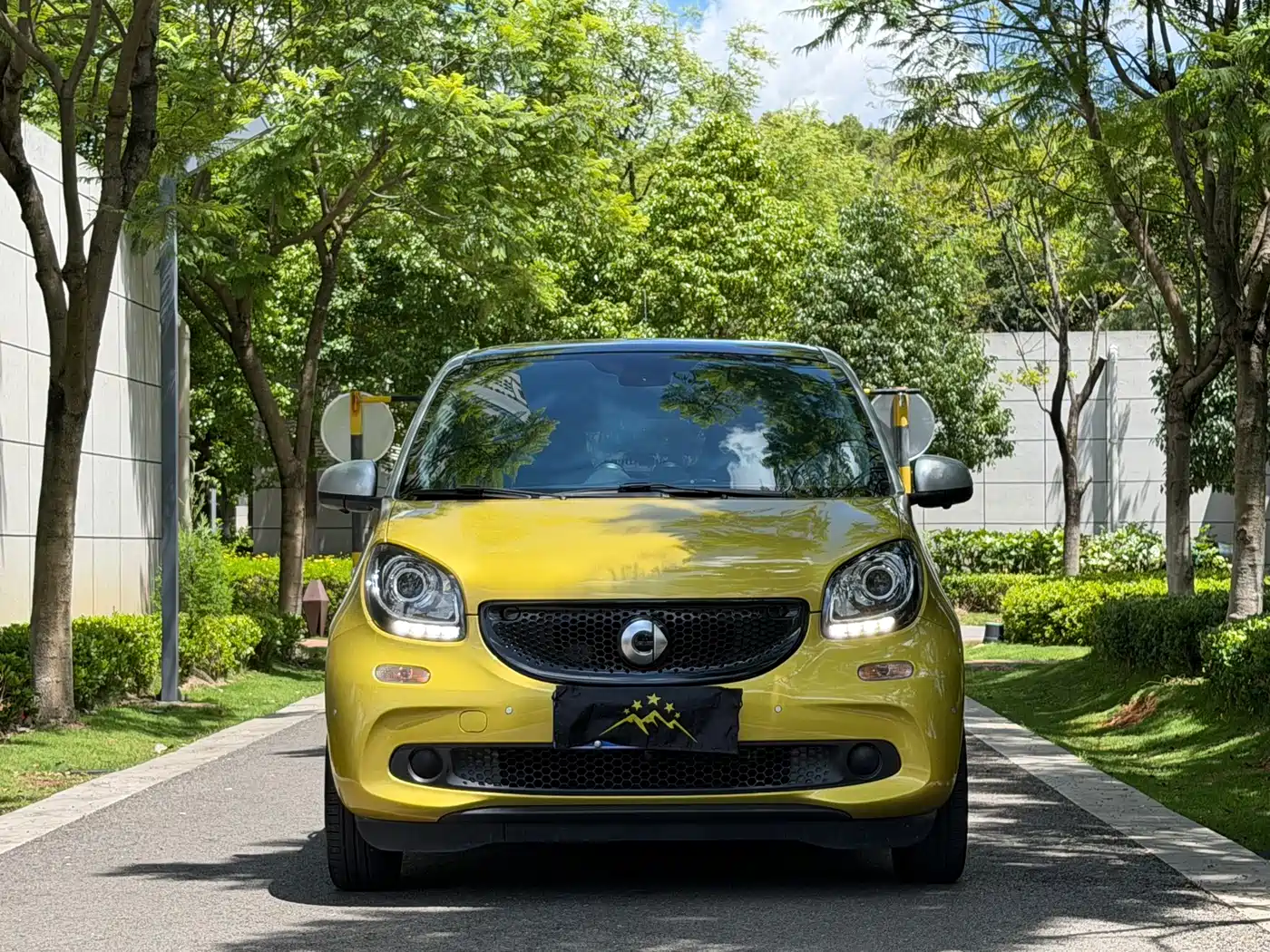 smart forfour 2018 2018 1.0L 52kW Passion Edition