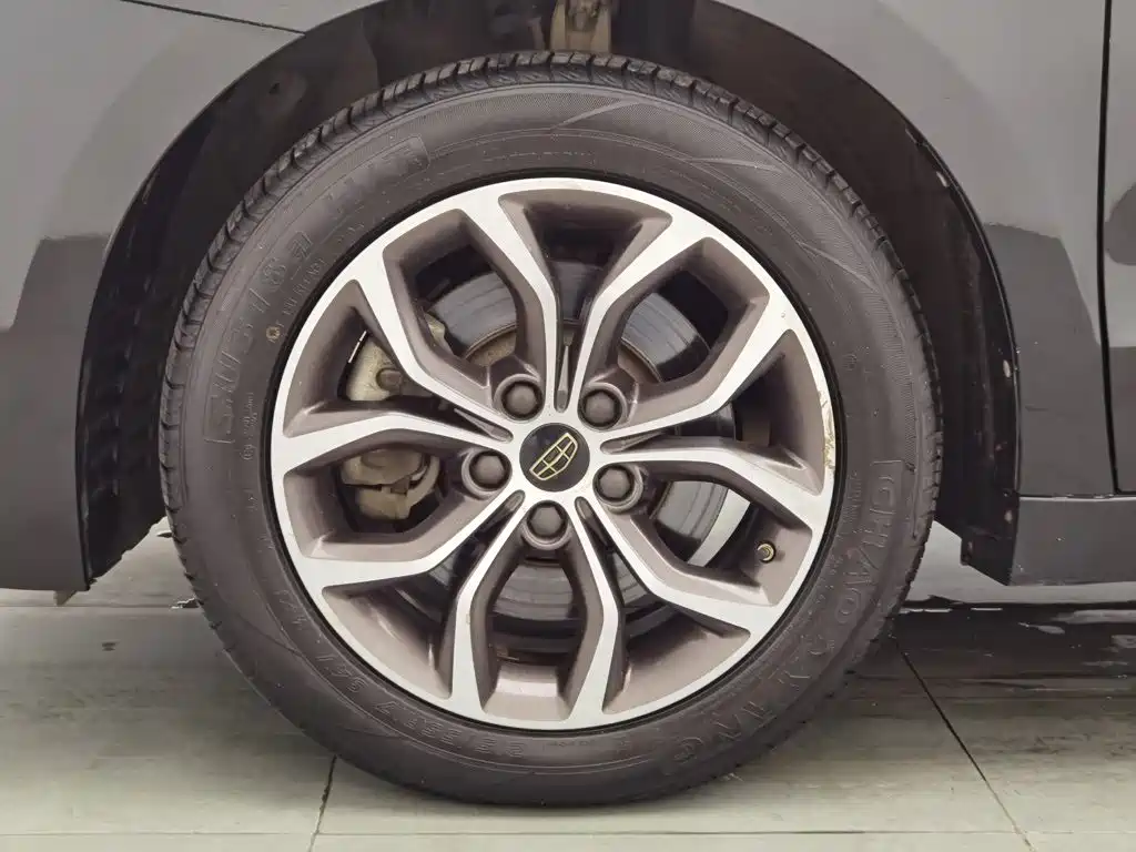 Photo 17 - Geely Borui