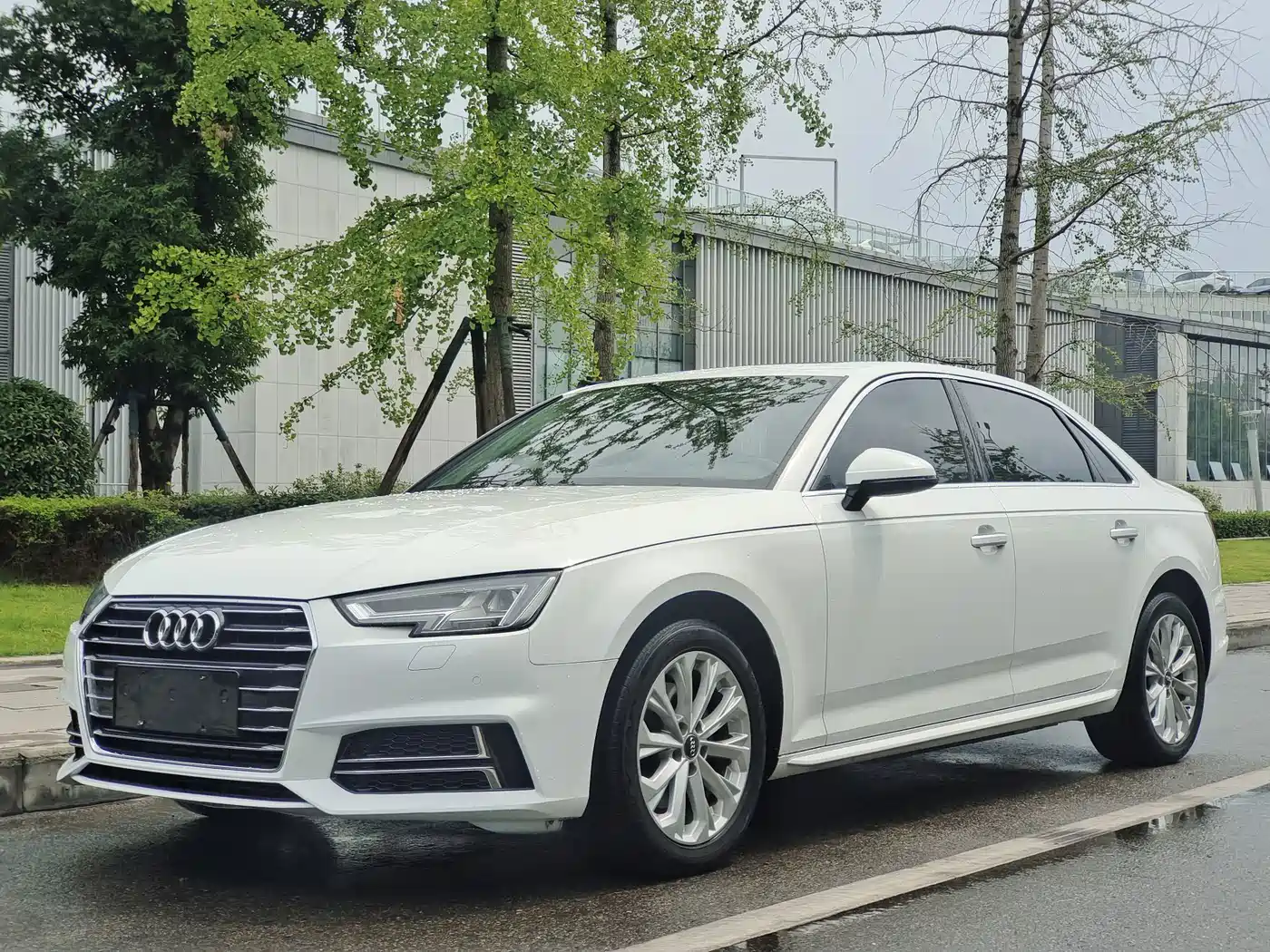  Audi Audi A4L 2019 40 TFSI Progressive (China VI)