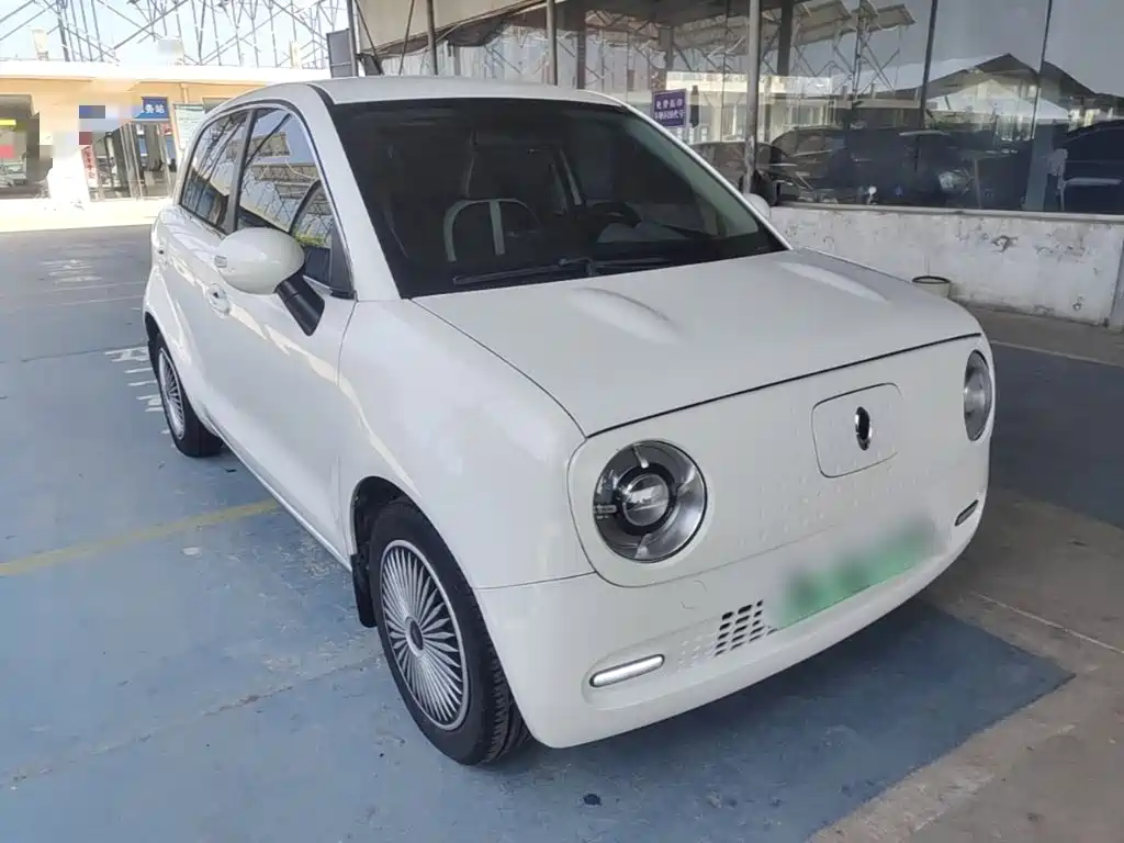 Ora Black Cat 2019 2019 Model 351km Smart Fun Edition