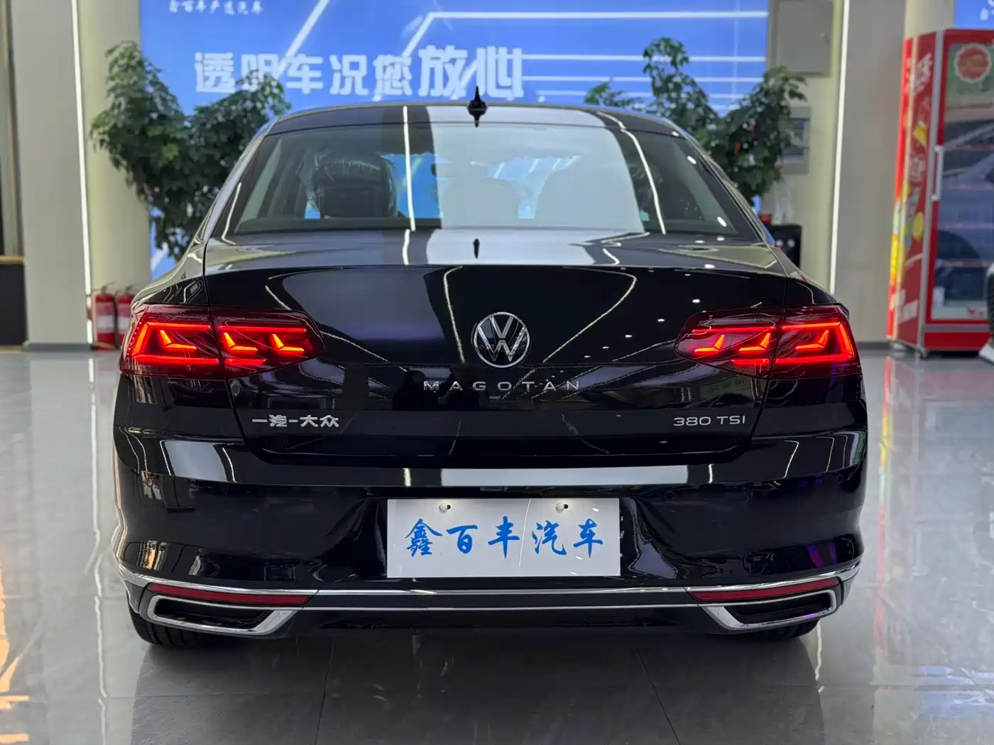 VOLKSWAGEN MAGOTAN