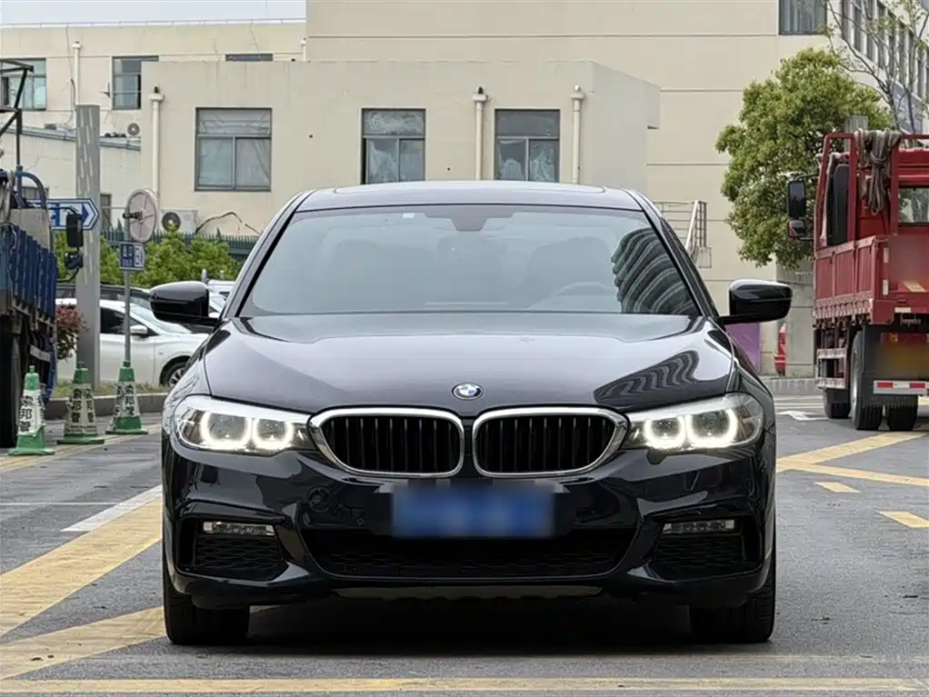 BMW 5 Series 2018 Facelift 530Li xDrive M Sport Package фото 23