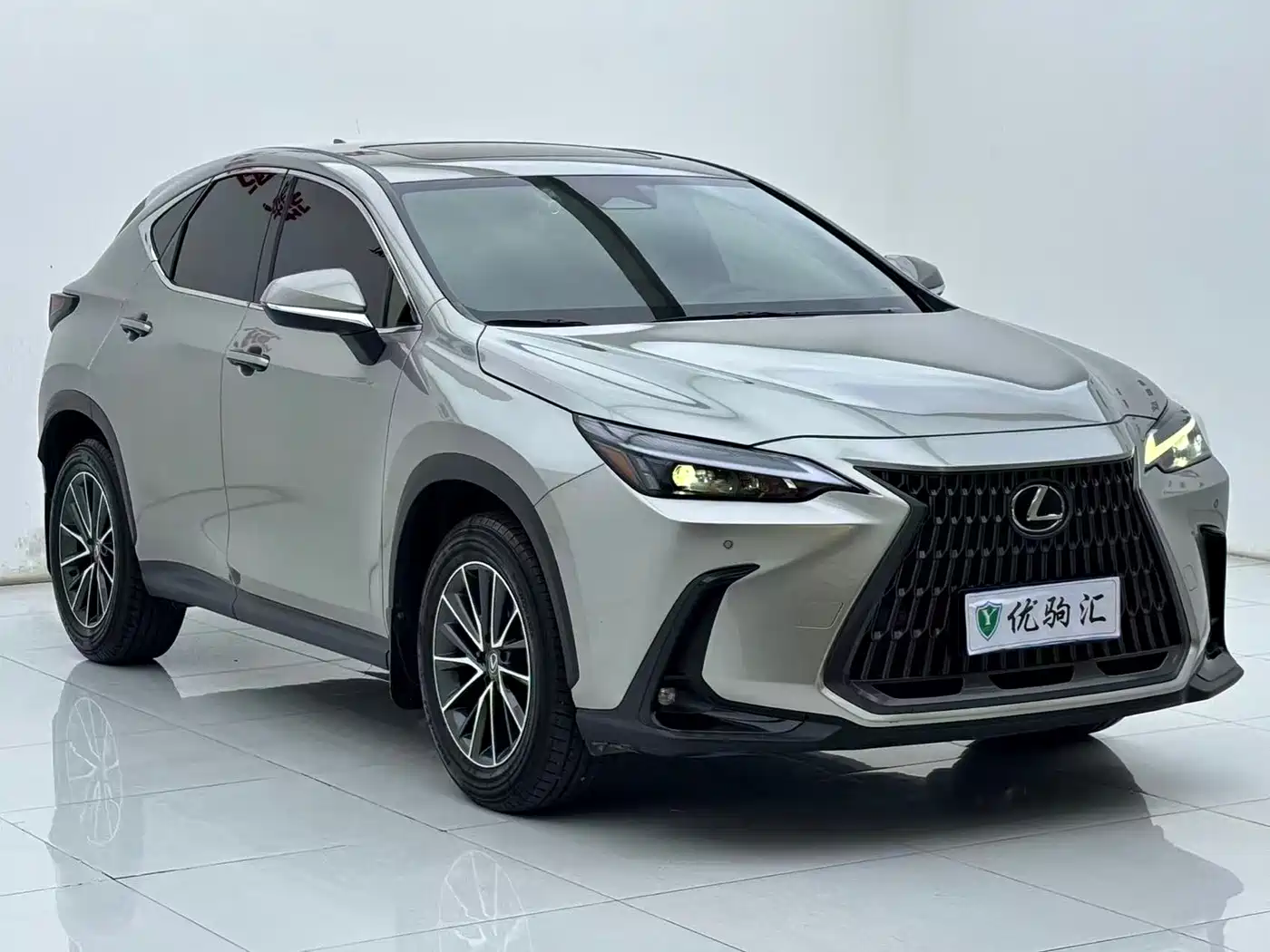 Lexus NX 2024 2023 260 FWD Joy Creation Edition