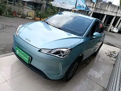 Neta V