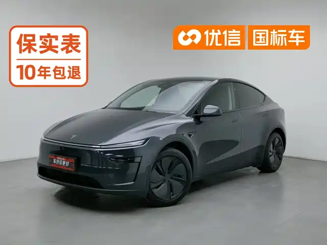 Tesla Model Y 2025 Rear-Wheel Drive — фото 1