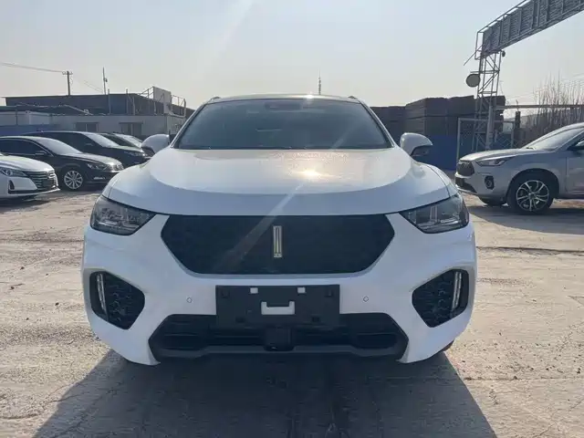 WEI PAI WEI BRAND VV5