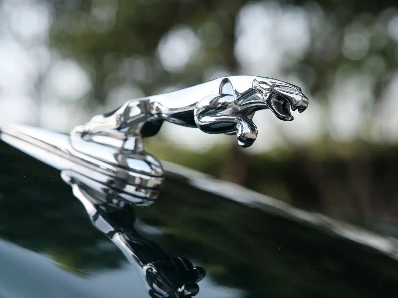 Jaguar XJ 2007 Model XJ6L 3.0 Royal Long Wheelbase фото 16