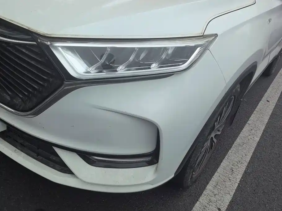 Changan Oshan X7 2021 2021 1.5T Automatic Luxury
