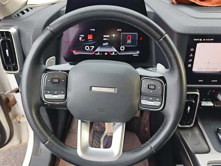 Haval Big Dog 2021 1.5T DCT 2WD Labrador Edition фото 15