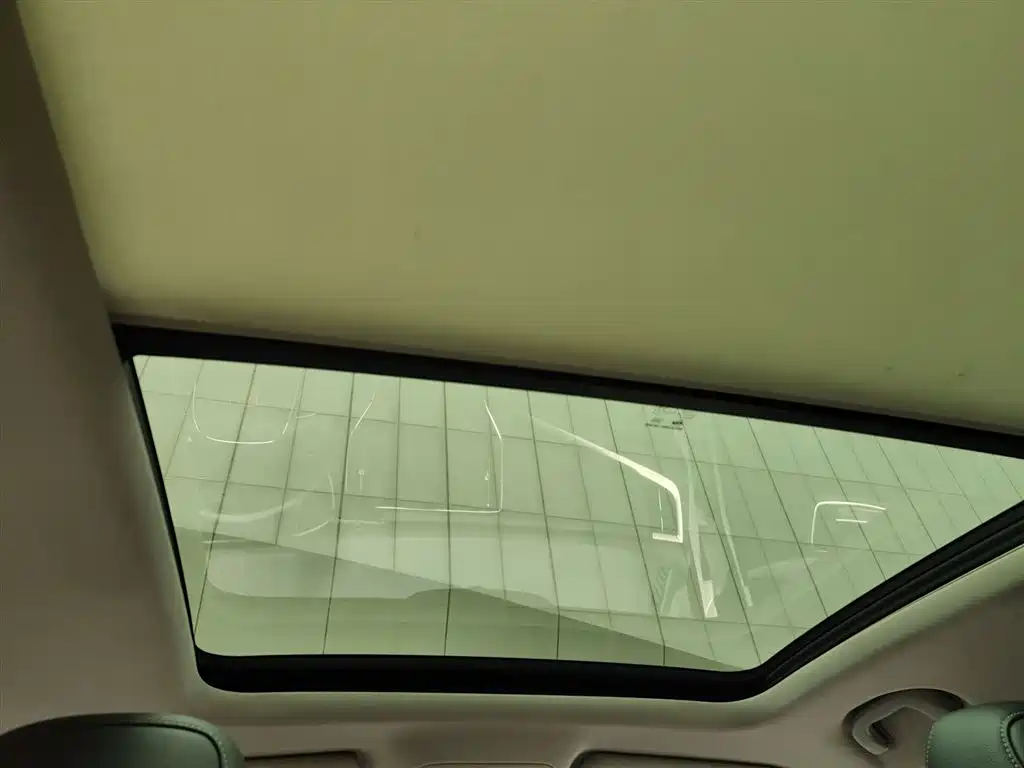 Фото 9 - Roewe RX5