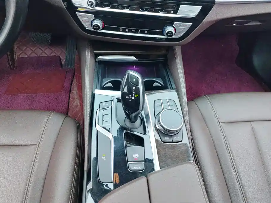 BMW 5 Series 2020 525Li Luxury Package фото 16