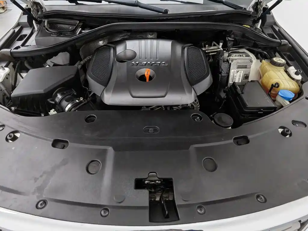 Haval H8 2018 2017 2.0T Gasoline 2WD Smart Enjoyment