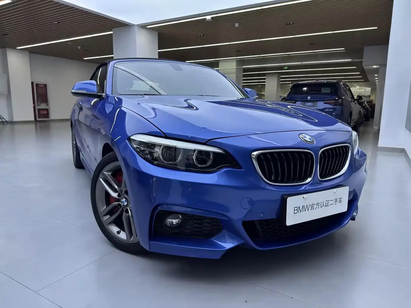 BMW 2 Series (Import) 2018 225i Convertible Coupe M Sport фото 8