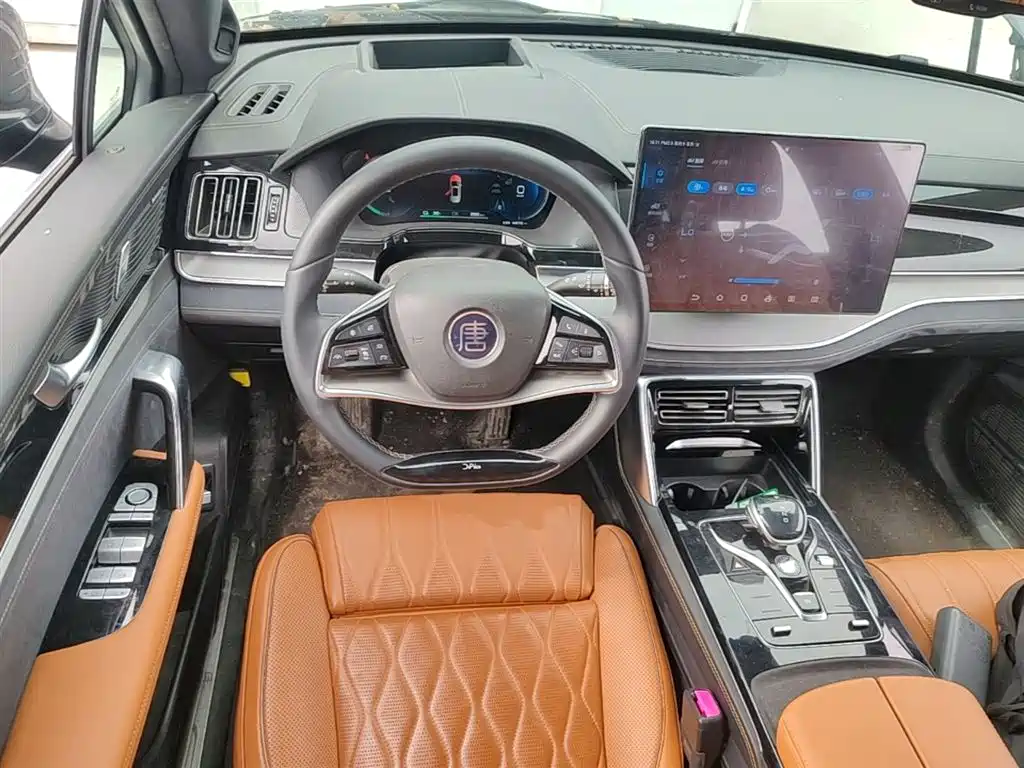 BYD Tang New Energy 2022 EV 730KM Premium фото 7