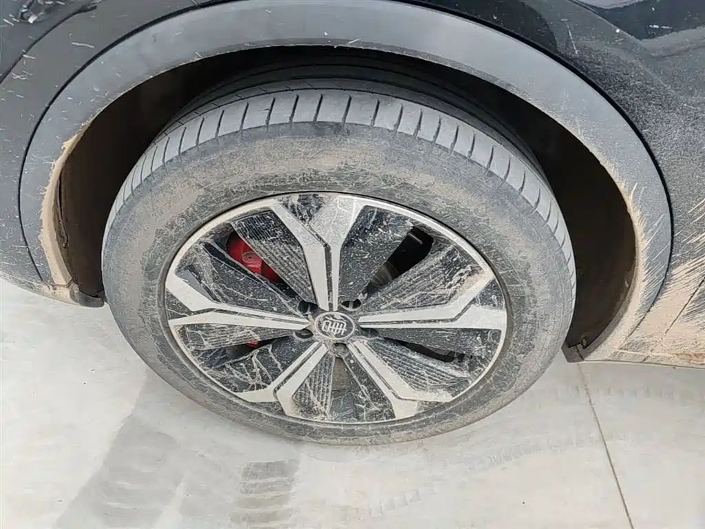 BYD Tang New Energy 2022 EV 730KM Premium фото 25