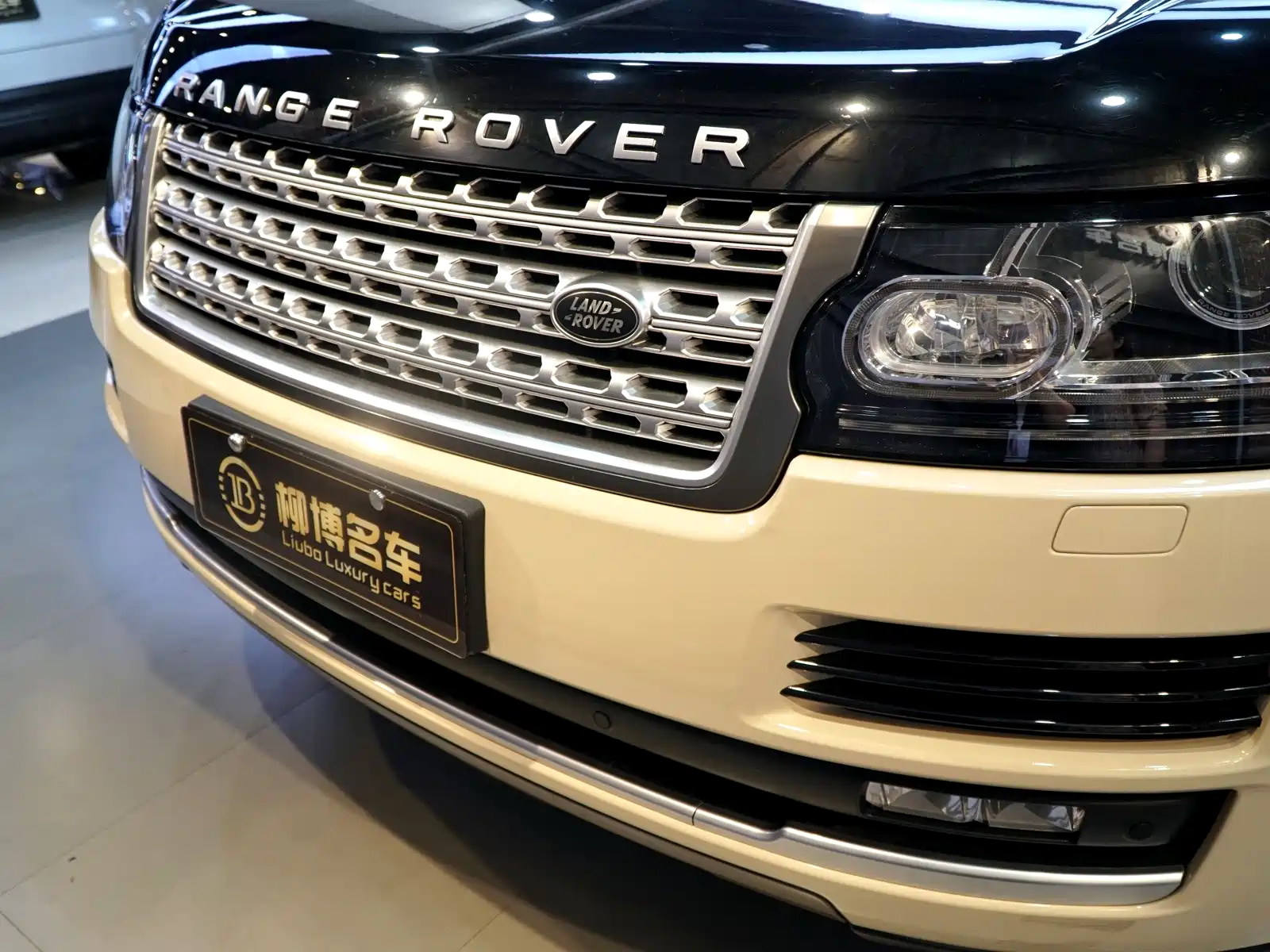 Фото 21 - Land Rover Range Rover