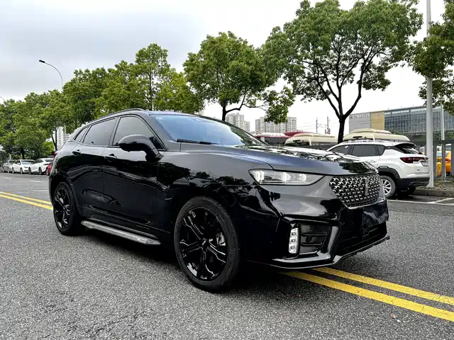  WEY Wey VV7 2020 Model 2.0T Flagship