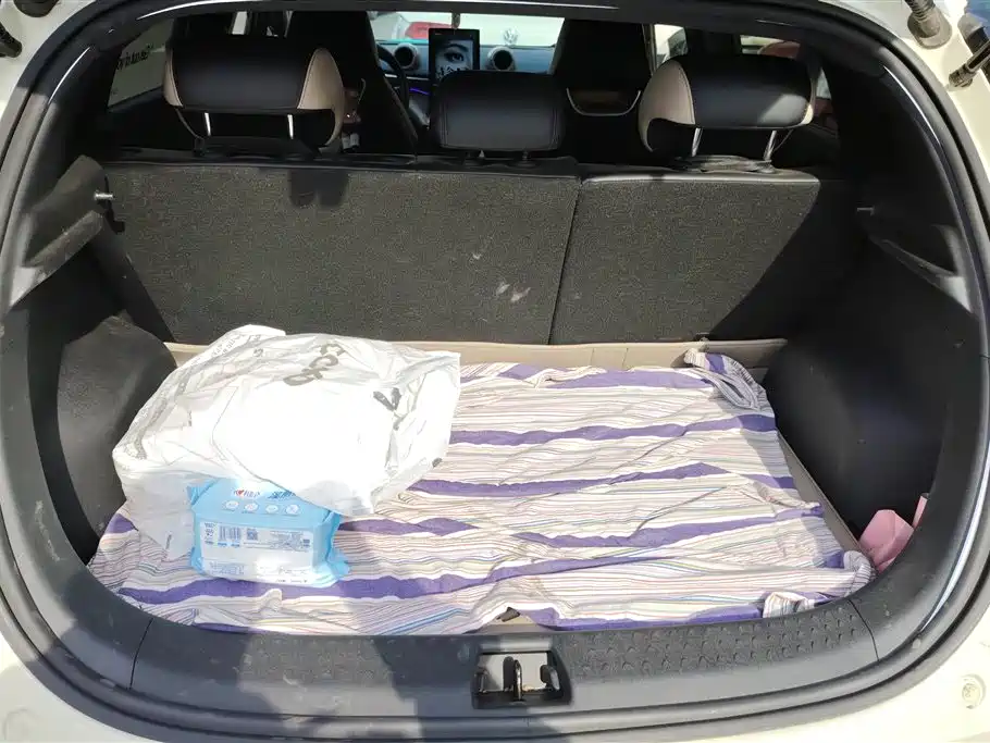 BYD Dolphin 2024 Glory Edition 420km Freedom Edition фото 4
