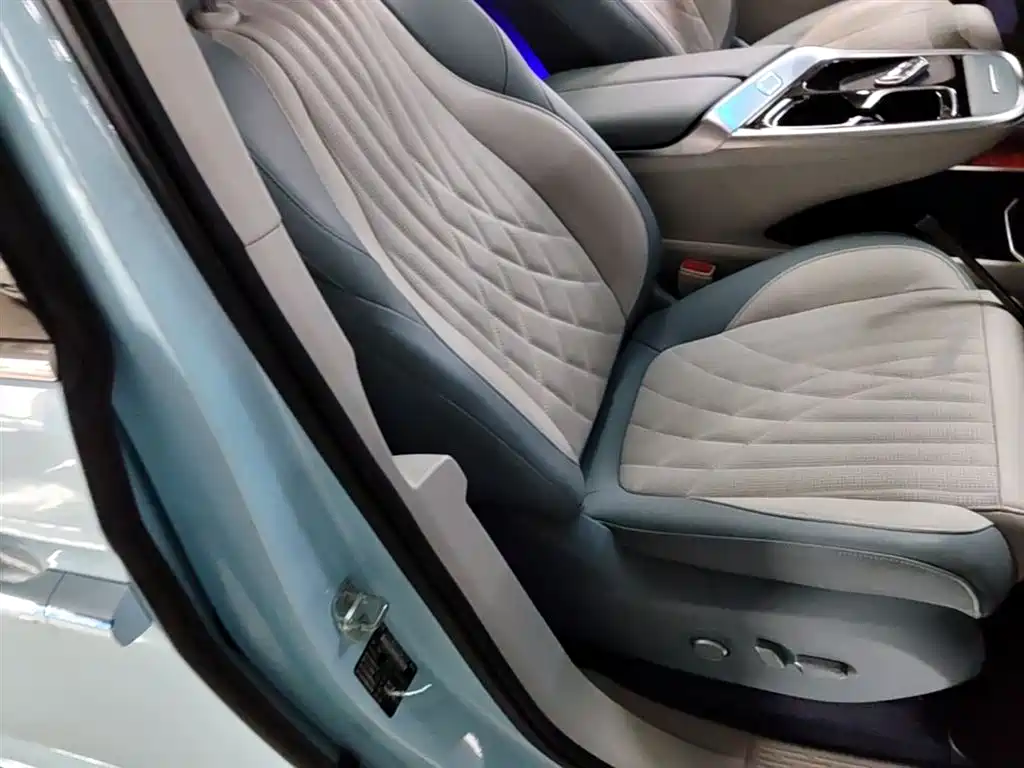 SAIC Maxus Dajia 9 2022 Long Range Forest 7-Seater фото 25