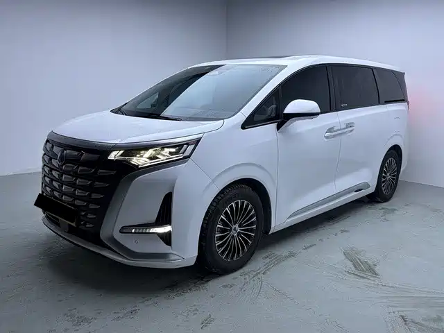 Denza D9 2023 2022 DM-i 970 All-Wheel Drive Honor Edition