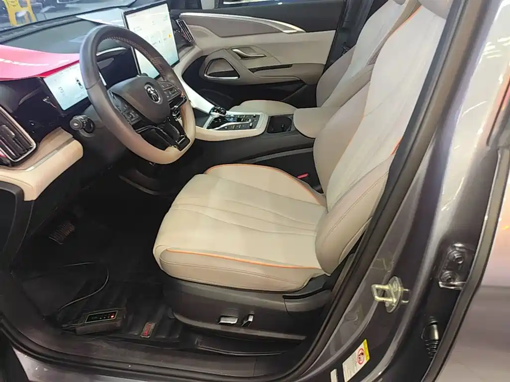 BYD Song Pro New Energy 2023 Champion Edition DM-i 110KM Excellence фото 15