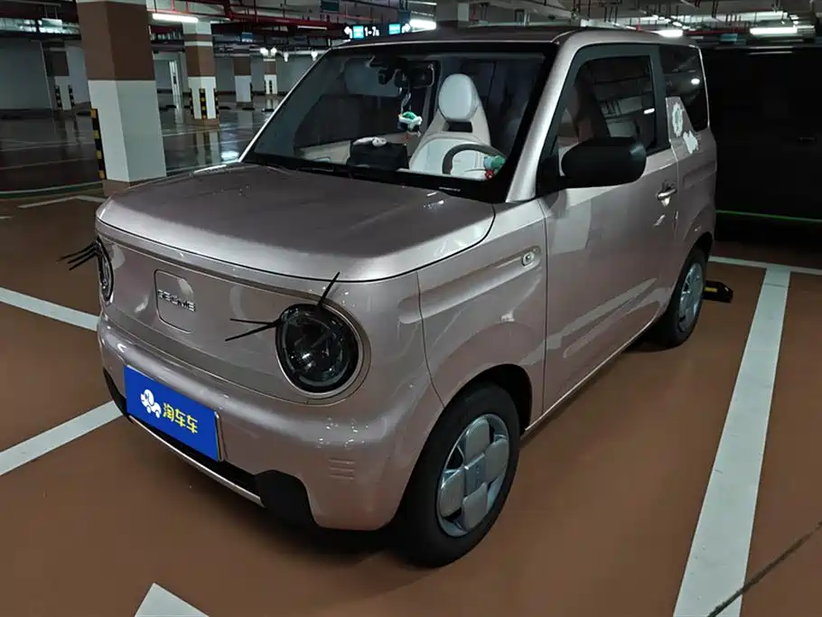 Geely Galaxy Panda 2023 Panda Mini 200km Endurance Bear