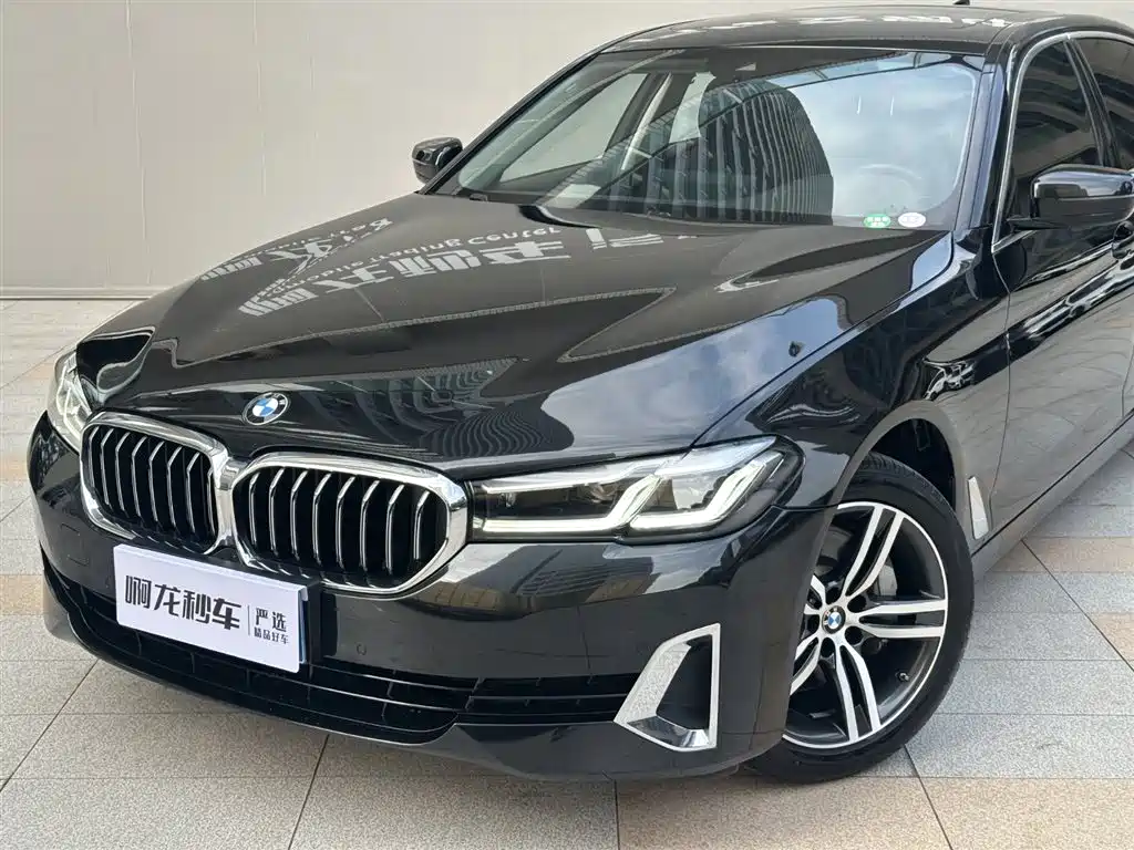 BMW 5 Series 2021 530Li Leading Luxury Package фото 2