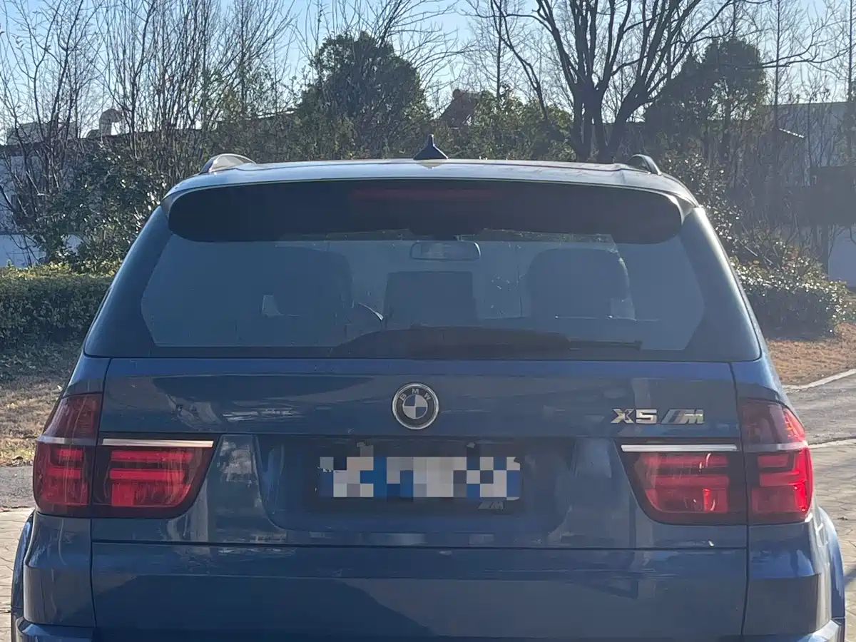 BMW X5 M 2010 X5 M фото 11